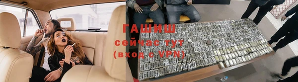 крисы Козельск