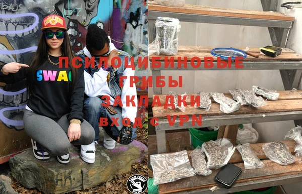 дмт Козловка