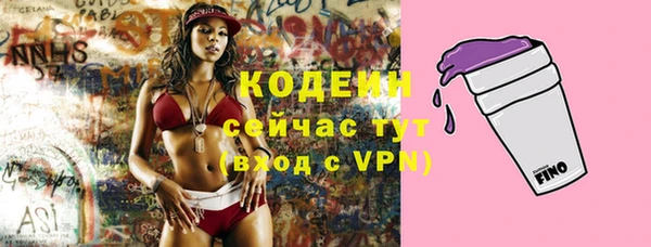 apvp Балахна