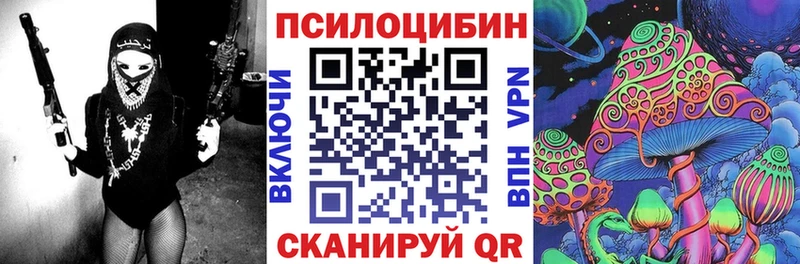 Псилоцибиновые грибы GOLDEN TEACHER  где купить наркоту  Шагонар 