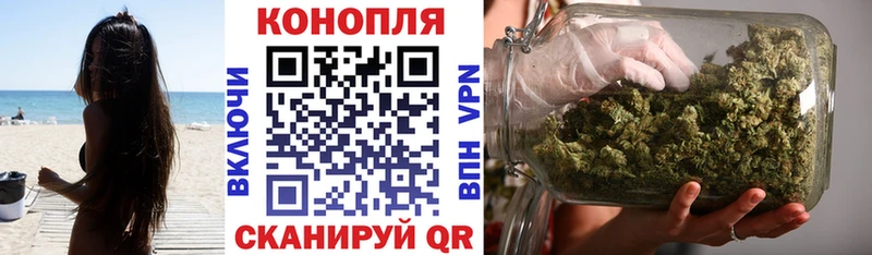 Канабис White Widow  как найти закладки  Шагонар 